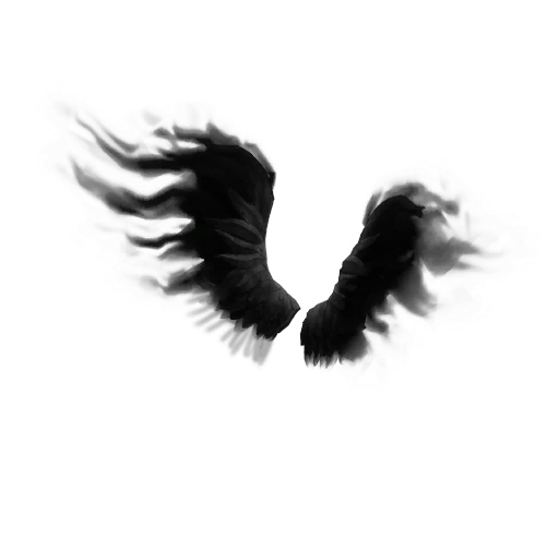 Shadow Wings