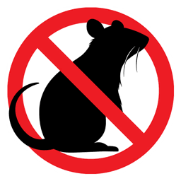 No Rats