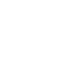 'Copter Fox